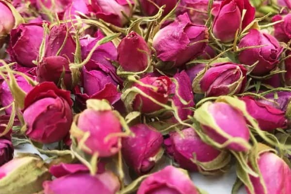 تصویر 2 از خرید گل محمدی غنچه خشک + قیمت عالی باکیفیت
